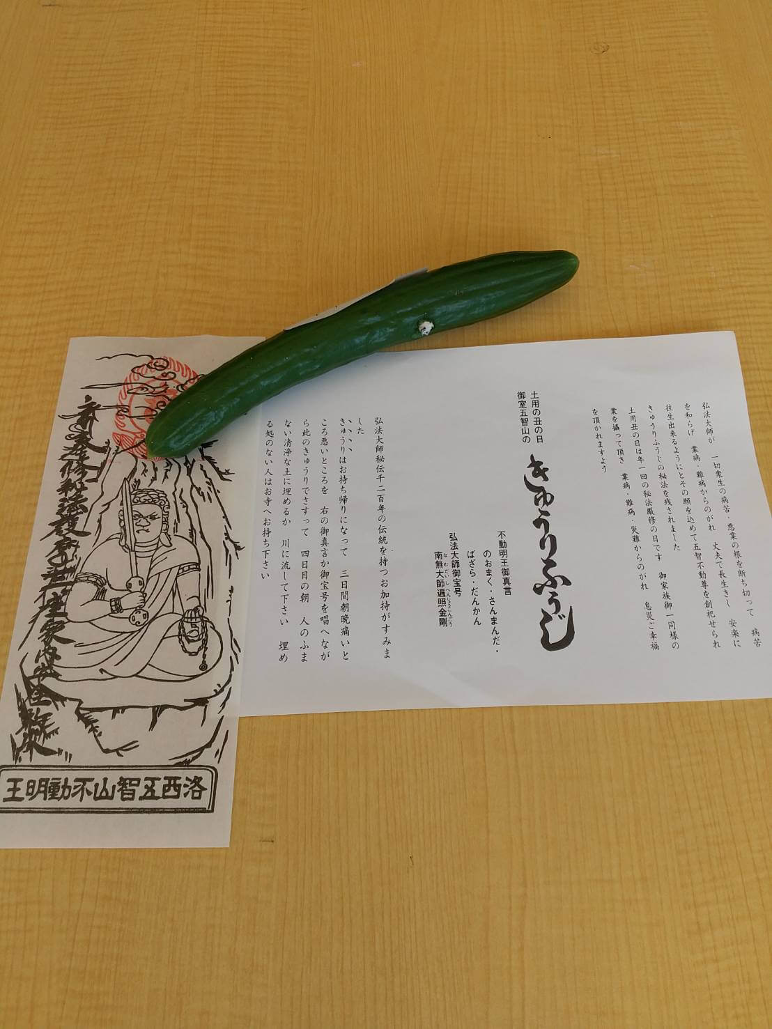 蓮華寺きゅうり
