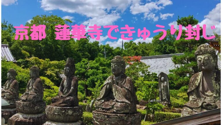 京都蓮華寺できゅうり京都
